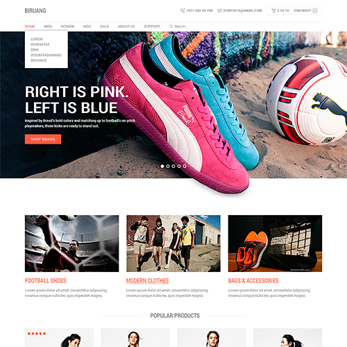 Biruang psd шаблон интернет магазина обуви